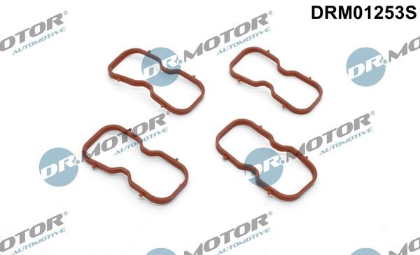 DR.MOTOR AUTOMOTIVE Pakkingsset, inlaatspruitstuk DRM01253S Opel REKORD Inlaatspruitstuk pakking DR.MOTOR AUTOMOTIVE DRM01253S