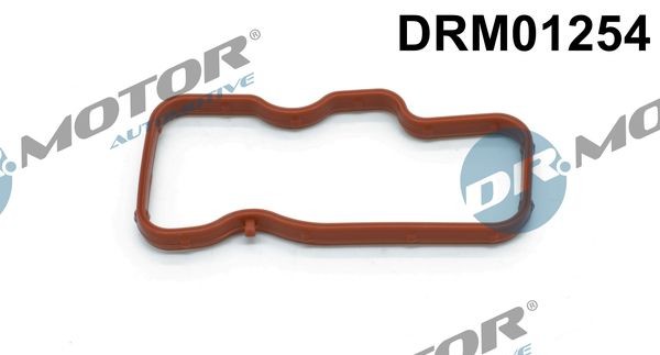 DR.MOTOR AUTOMOTIVE Blīve, Ieplūdes kolektors DRM01254 DRM01254 Ieplūdes kolektora blīve Volkswagen ID.4 DR.MOTOR AUTOMOTIVE