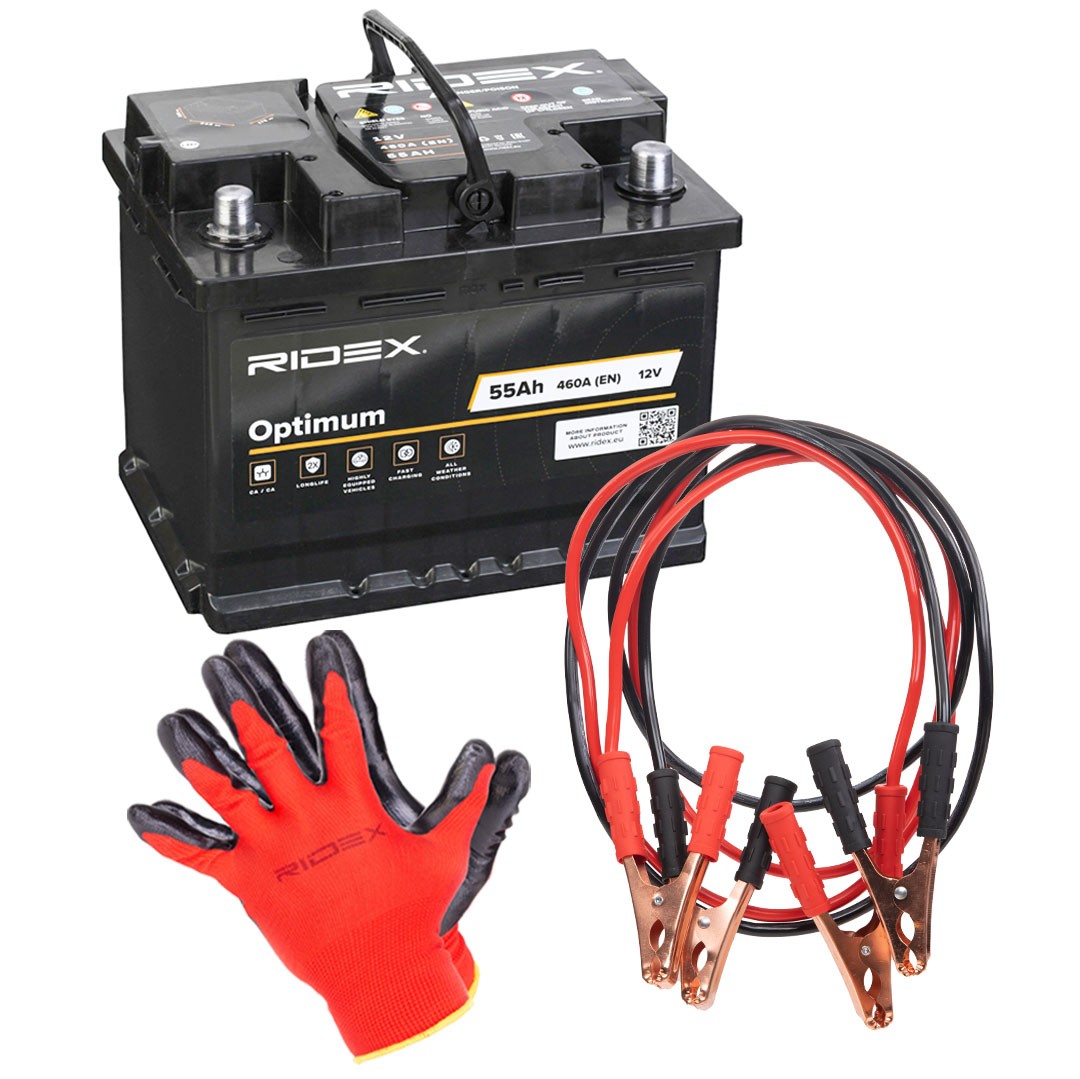 RIDEX Batterie 1S0318 1S0318 Batterie de voiture SEAT LEON RIDEX
