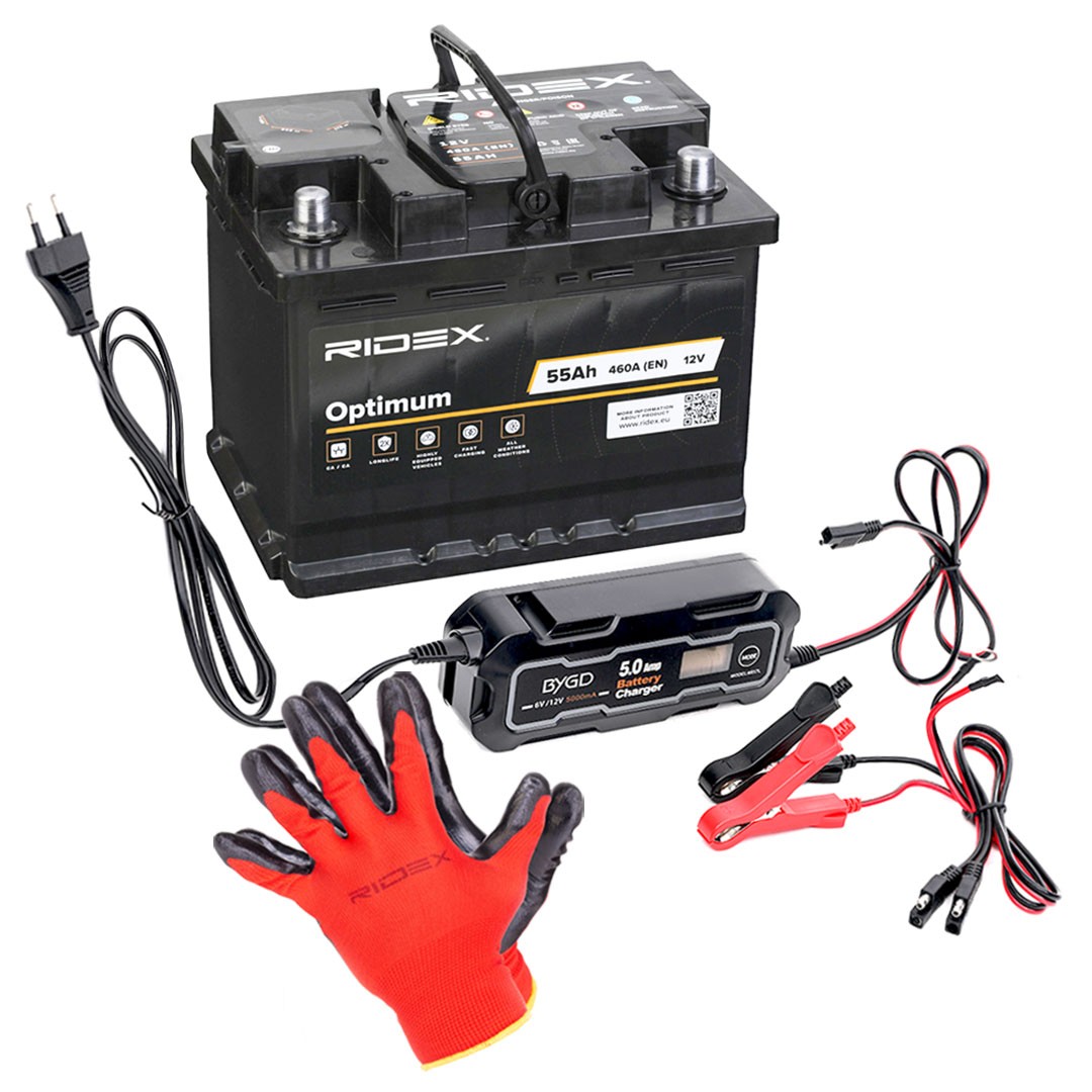 RIDEX Batteria 1S0320 1S0320 costo Batteria RIDEX MERCEDES-BENZ Serie 124