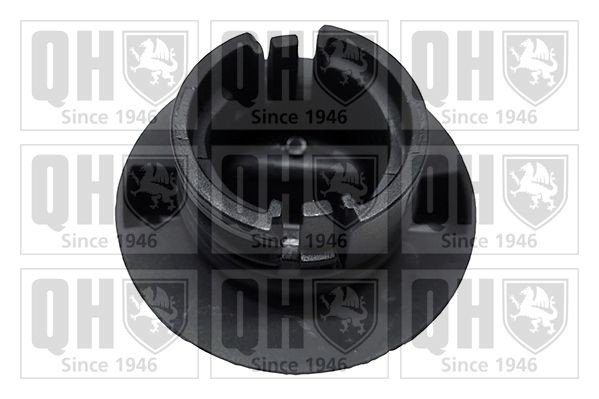 QUINTON HAZELL Lukk, õlitäite ühendustoru FC584 FC584 Õli lisamise kork FIAT BRAVO QUINTON HAZELL