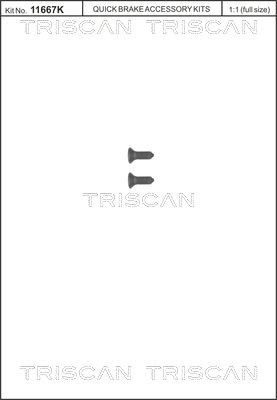 TRISCAN Skrue, bremseskive 8105 116008 TRISCAN 8105 116008 Kia Cerato LD Skrue, bremseskive til en rimelig pris