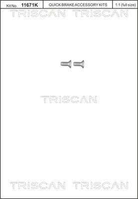 TRISCAN Skrue, bremseskive 8105 116012 TRISCAN 8105116012 Skrue, bremseskive 307 SW Varebil / Stasjonsvogn (3E_, 3H_) pris