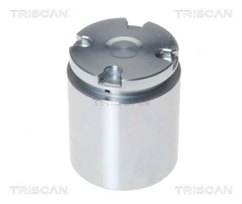 TRISCAN Bromskolv 8170 233882 8170 233882 TRISCAN bromskolv Land Rover DEFENDER