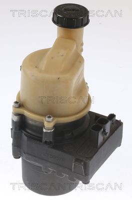 TRISCAN Servopump 8515 25649 8515 25649 TRISCAN styrservopump RENAULT SCÉNIC