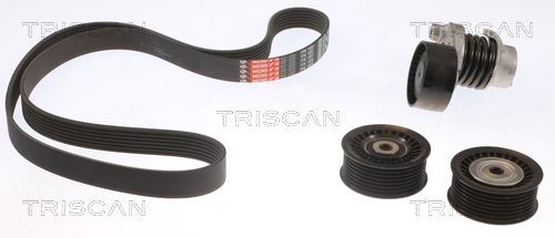 TRISCAN Kit Cinghie Poly-V 8642 10031 8642 10031 costo Cinghia servizi DACIA SOLENZA TRISCAN