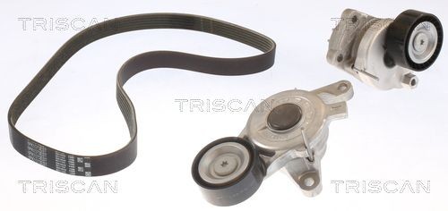 TRISCAN Kit Cinghie Poly-V 8642 10038 8642 10038 costo Kit cinghie poly-v TOYOTA YARIS TRISCAN