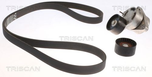 TRISCAN Drivremssats 8642 10042 8642 10042 TRISCAN drivremskit Renault KOLEOS