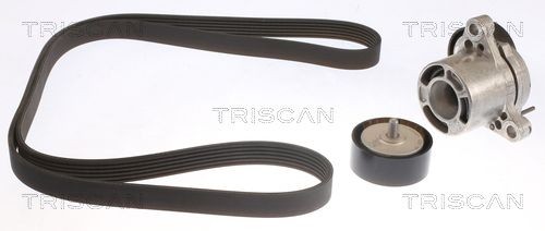 TRISCAN Jeu de courroies trapézoïdales à nervures 8642 11002 BMW Série 4 Courroie nervurée Poly-V TRISCAN 8642 11002