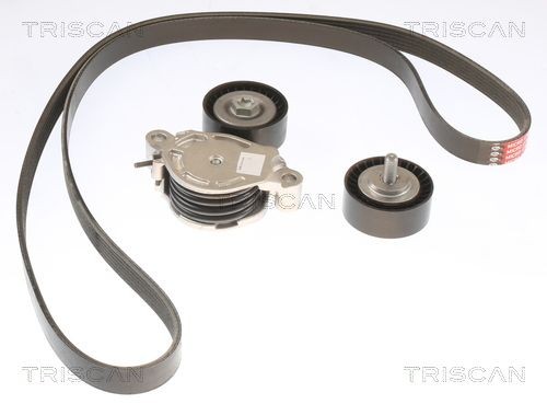 TRISCAN Jeu de courroies trapézoïdales à nervures 8642 11004 BMW Série 4 Courroie striée Poly-V TRISCAN 8642 11004