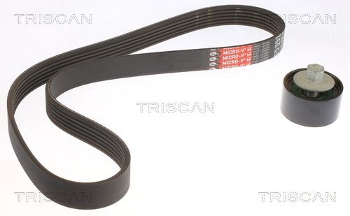 TRISCAN Jogo de correias trapezoidais estriadas 8642 18003 8642 18003 TRISCAN Correia de acessórios Kia baratos
