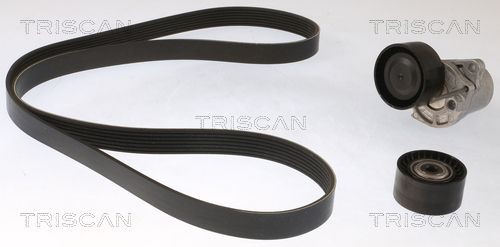 TRISCAN Drivremssats 8642 23011 8642 23011 TRISCAN drivremssats NISSAN PRIMASTAR