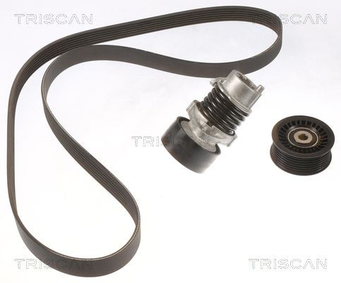 TRISCAN Kileremsett 8642 25012 Drivremsett TRISCAN X-TRAIL 8642 25012 billige
