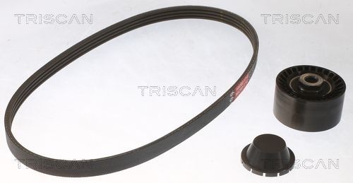 TRISCAN Drivremssats 8642 25017 8642 25017 TRISCAN flerspårsremssats RENAULT KOLEOS