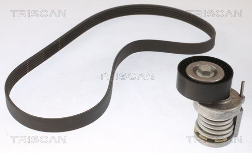 TRISCAN Poly V-riem set 8642 29025 TRISCAN Poly v riem set AUDI 8642 29025