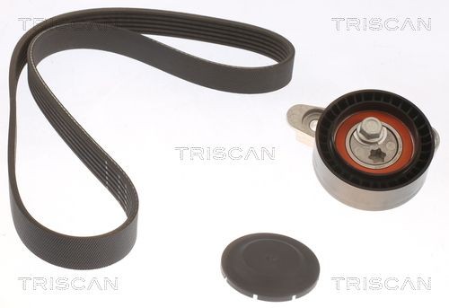 TRISCAN Keilrippenriemensatz 8642 29032 8642 29032 Keilrippenriemensatz TRISCAN VW POLO