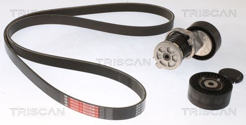 TRISCAN Poly V-riem set 8642 29042 Poly v riemen kit AUDI TRISCAN 8642 29042