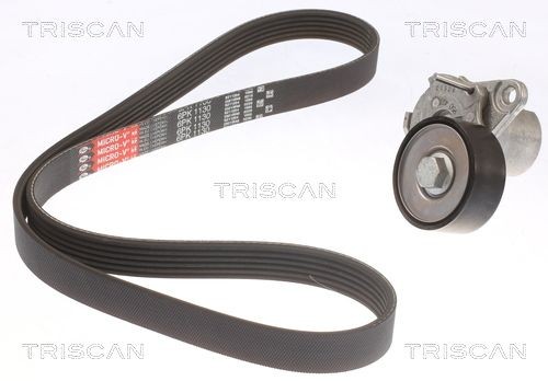TRISCAN Kileremsett 8642 29045 8642 29045 Multireim sett VOLVO S60 TRISCAN