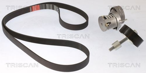 TRISCAN Keilrippenriemensatz 8642 29048 Keilrippenriemensatz TRISCAN POLO 8642 29048 günstig