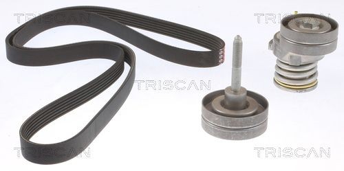TRISCAN Jogo de correias trapezoidais estriadas 8642 29051 Kit de correias trapezoidais estriadas TRISCAN A6 8642 29051 baratos