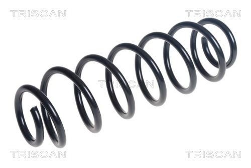TRISCAN Spiralfjäder 8750 16195 8750 16195 TRISCAN fjäder Ford KA