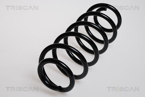 TRISCAN Fjeder 8750 29548 8750 29548 Fjeder TRISCAN AUDI E-TRON