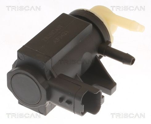 TRISCAN Drukconvertor, uitlaatgasregeling 8813 10041 8813 10041 Turbodrukregelaar TRISCAN CITROЁN JUMPY