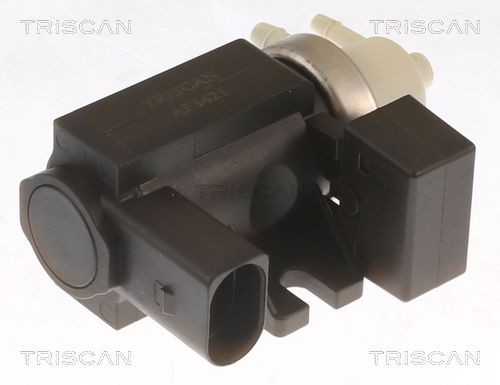 TRISCAN Trykkomformer, eksosstyring 8813 29076 8813 29076 TRISCAN Trykkomformer turbolader Hyundai billige