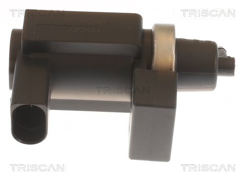 TRISCAN Spiediena pārveidotājs, Izpl. gāzu vadība 8813 29113 Turbīnas spiediena regulators TRISCAN A8 8813 29113 lēti