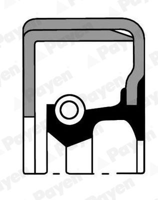 PAYEN Akseltetningsring, hjulnav NJ069 PAYEN NJ069 Akseltetningsring, hjulnav TOYOTA Hiace Van (H100) til en fordelagtig pris