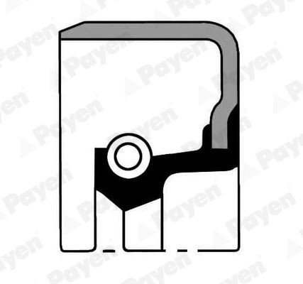 PAYEN Paraolio, mozzo ruota NJ101 NJ101 Paraolio, mozzo ruota PAYEN Kia