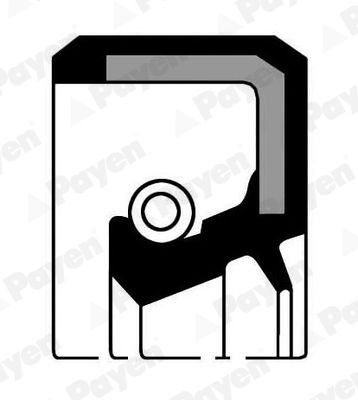 PAYEN Τσιμούχα, μηχ. κιβ. ταχυτήτων NJ118 PAYEN NJ118 Τσιμούχα αυτόματο κιβώτιο Toyota Carina 1 σε χαμηλές τιμές