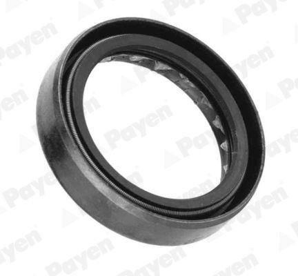 PAYEN Wellendichtring, Schaltgetriebe NJ125 NJ125 Getriebe Simmerring AUDI A7 PAYEN kaufen