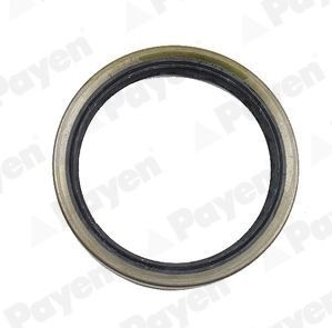 PAYEN Paraolio, mozzo ruota NJ141 NJ141 Paraolio, mozzo ruota PAYEN VOLVO XC70 costo