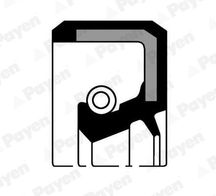 PAYEN Krukaskeerring NJ154 Krukaskeerring PAYEN TAURUS NJ154 goedkoop