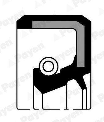 PAYEN Paraolio, mozzo ruota NJ527 PAYEN NJ527 costo Paraolio, mozzo ruota BMW 3 Coupe (E46) originale