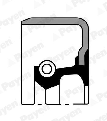 PAYEN Paraolio, mozzo ruota NJ562 NJ562 costo Paraolio, mozzo ruota PAYEN VOLVO XC70