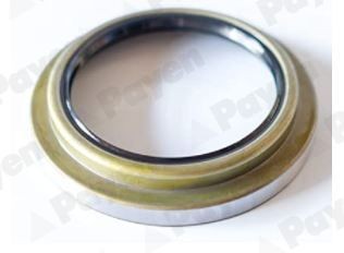 PAYEN Paraolio, mozzo ruota NJ571 NJ571 Paraolio, mozzo ruota PAYEN BMW