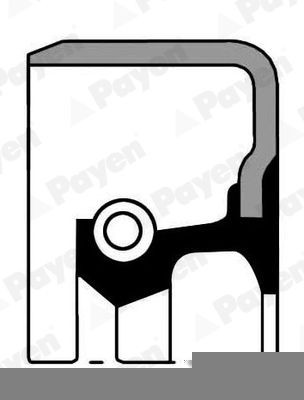 PAYEN Τσιμούχα, μηχ. κιβ. ταχυτήτων NJ609 PAYEN NJ609 Φλάντζες κιβωτίου ταχυτήτων Toyota Yaris Verso τιμες