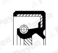 PAYEN Shaft Seal, manual transmission NJ612 NJ612 PAYEN gearbox gaskets for FIAT SEDICI