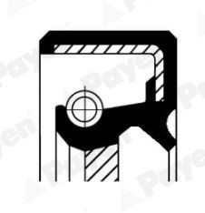 PAYEN Paraolio, Cambio manuale NJ617 NJ617 Guarnizioni cambio PAYEN FORD USA ESCAPE costo