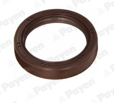 PAYEN Akseltetningsring, girmekanisme NJ634 Pakningssett automatgir PAYEN Hyundai ELANTRA NJ634