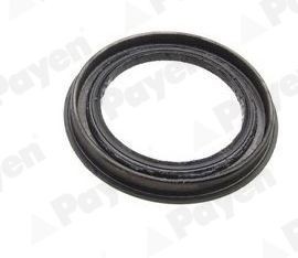 PAYEN Shaft Seal, wheel hub NJ695 Jeep GRAND CHEROKEE PAYEN shaft seal, wheel hub NJ695