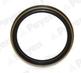 PAYEN Retentor, cubo da roda NJ737 NJ737 Retentor, cubo da roda SEAT ALTEA PAYEN