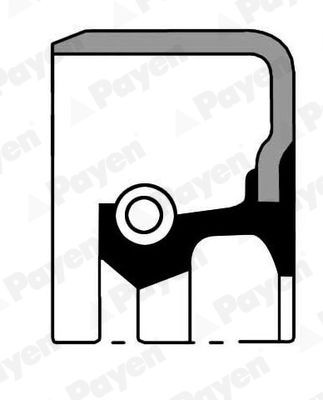 PAYEN Akseltetningsring, girmekanisme NJ794 Pakning automatgir PAYEN 155 NJ794 billige