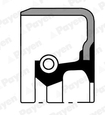 PAYEN Paraolio, mozzo ruota NJ825 NJ825 Paraolio, mozzo ruota VOLVO XC70 PAYEN costo