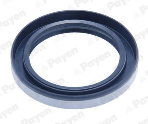 PAYEN Τσιμούχα, πλήμνη NJ892 NJ892 PAYEN Τσιμούχα, πλήμνη Citroën φθηνά