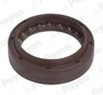 PAYEN Wellendichtring, Schaltgetriebe NJ962 NJ962 Wellendichtring, Getriebe TOYOTA GT 86 PAYEN kaufen