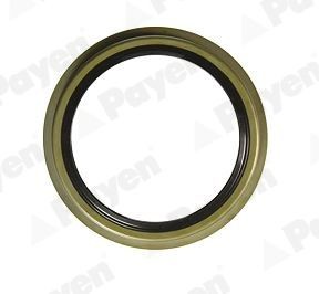 PAYEN Paraolio, mozzo ruota NK034 NK034 Paraolio, mozzo ruota BMW PAYEN costo