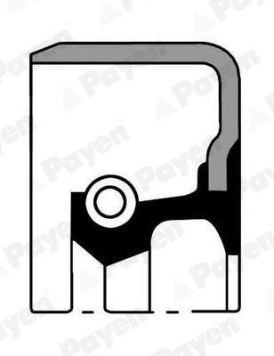 PAYEN Shaft Seal, wheel hub NK054 JEEP GRAND CHEROKEE PAYEN shaft seal, wheel hub NK054